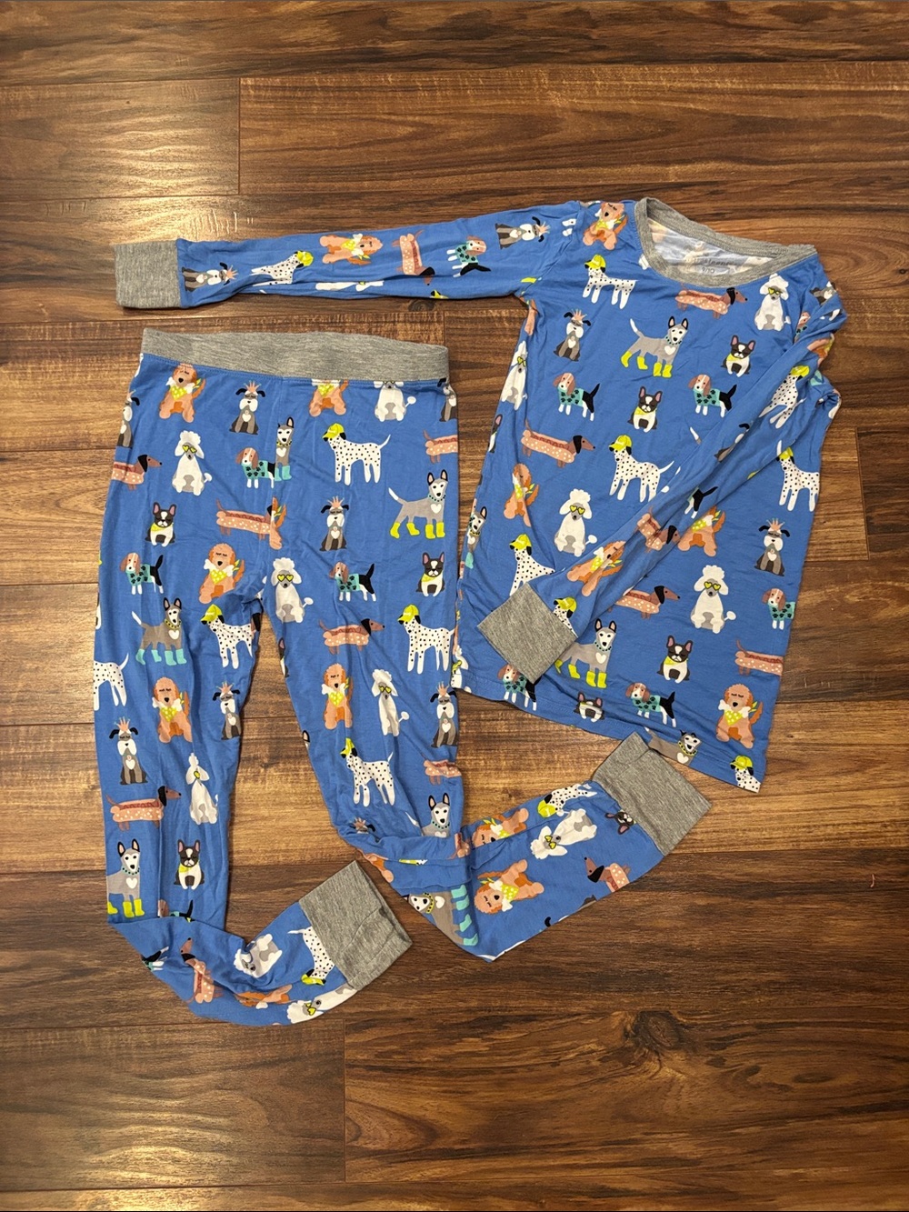 Little Sleepies Blue Kids Pajama Set with Dog Print